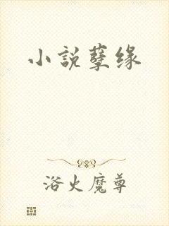 小说孽缘