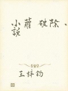 小萝 破除 小说