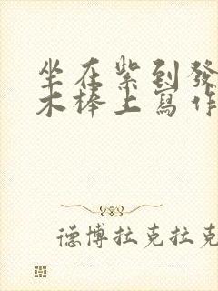 坐在紫到发黑的木棒上写作业