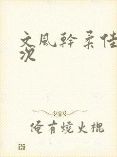 文风干柔佳第一次