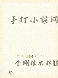 手打小说网