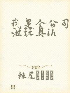 我是全公司的发泄玩具ih