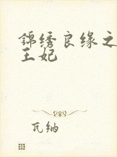 锦绣良缘之北地王妃