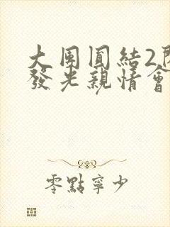 大团圆结2闪闪发光亲情会