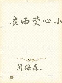 夜雨莹心小说