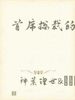 首席总裁的逃妻