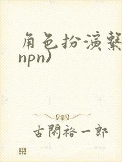 角色扮演系统(npn)