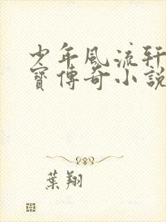 少年风流轩辕大宝传奇小说