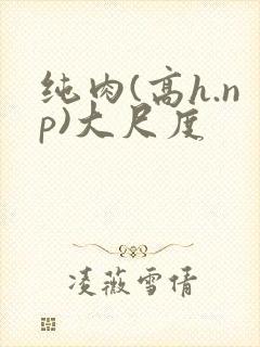 纯肉(高h.np)大尺度