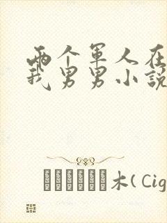 两个军人在车里我男男小说