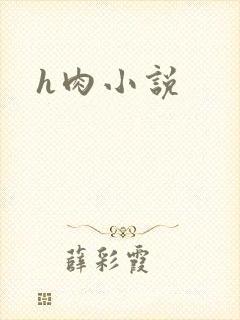 h肉小说