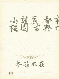 小说区 都市 校园 古典 偷拍