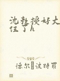 沈教授好大含不住了h