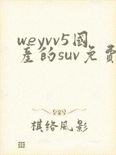 weyvv5国产的suv免费