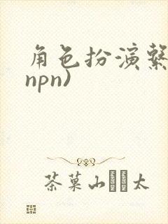 角色扮演系统(npn)