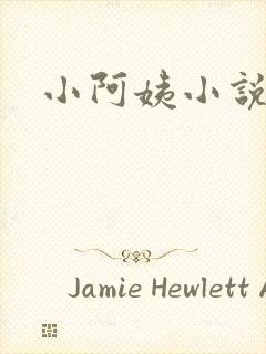 小阿姨小说