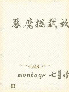 恶魔总裁放了我