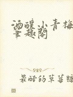 酒酿小青梅po笔趣阁