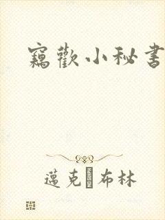 窃欢小秘书