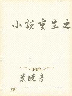 小说重生之官道