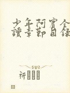 少年阿宾全文阅读章节目录