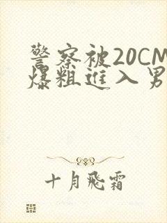 警察被20CM爆粗进入男男软件