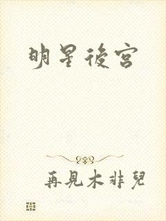 明星后宫