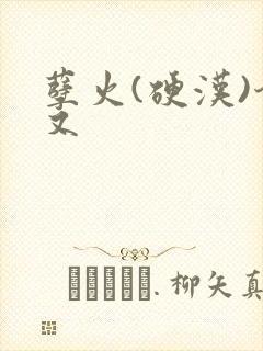 孽火(硬汉)今又