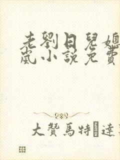 老刘日儿媳妇张岚小说免费阅读