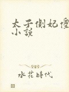 太子侧妃傻乎乎小说