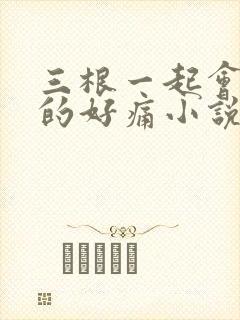 三根一起会坏掉的好痛小说