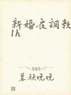 新婚夜调教1v1h