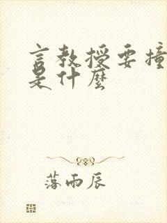 言教授要撞坏了是什么