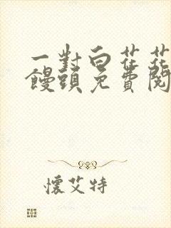 一对白花花的大馒头免费阅读