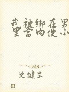 我被绑在男公厕里当肉便小说