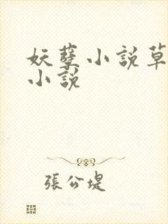 妖孽小说草莓酱小说