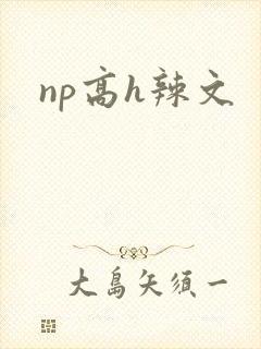np高h辣文