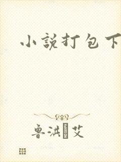 小说打包下载