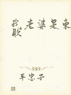 我老婆是东方不败