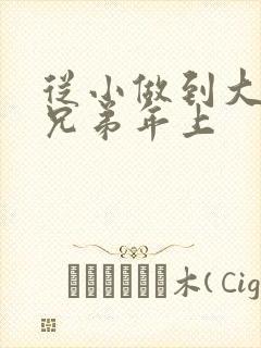 从小做到大骨科兄弟年上