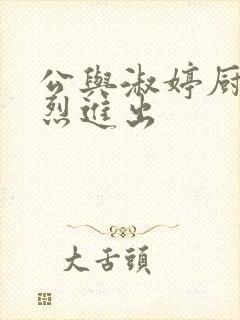 公与淑婷厨房猛烈进出