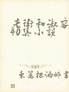 老卫和淑容1-40集小说