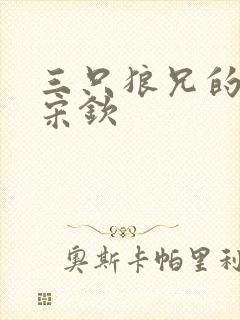 三只狼兄的宠妻宋钦