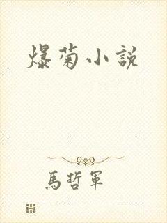 爆菊小说