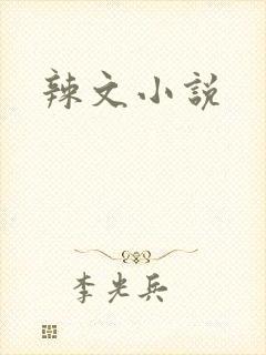 辣文小说