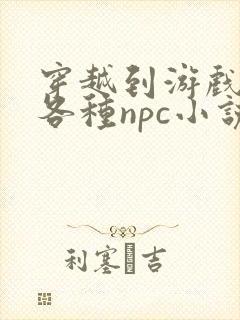 穿越到游戏里和各种npc小说