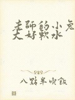 老师的小兔子好大好软水