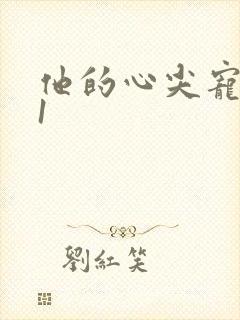 他的心尖宠1v1