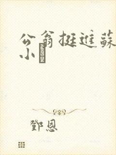 公翁挺进苏玥的小泬