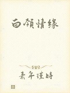 白领情缘